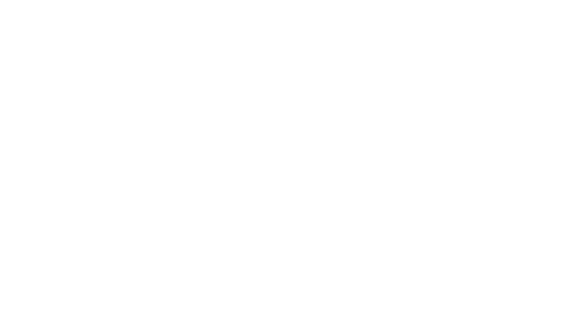 logo-ribo